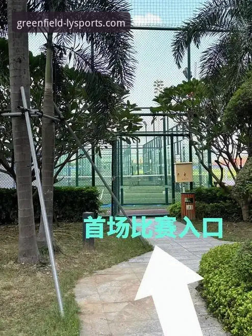 绿茵体育手机版下载安装操作教程：从零开始的完整指南