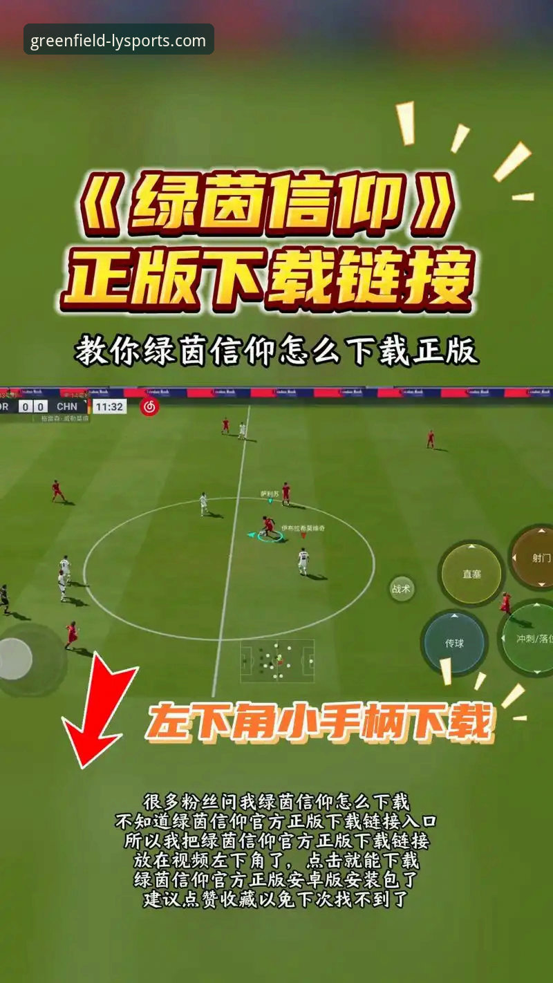 资深体育迷亲测：绿茵体育高清直播平台如何重塑观赛体验